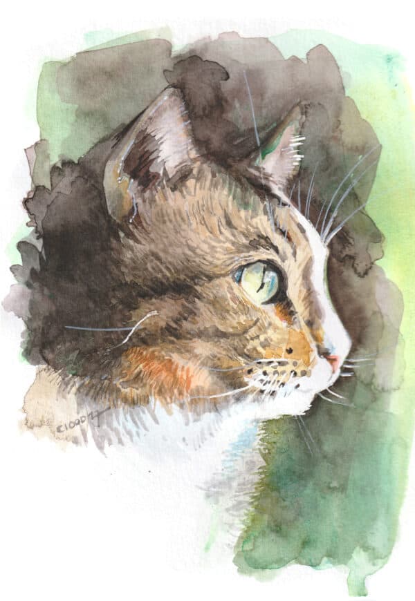 Aquarelle originale profil de chat européen sur papier art format A5 - 5185